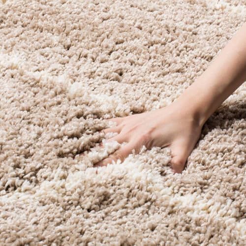 Image of F & B RUGS ; SUPERIOR QUALITY PRODUCTS Firoz and Brothers Handwoven Super Soft Indoor Modern Shag Microfibre Silky Fluffy Smooth 3x6 feet Beige