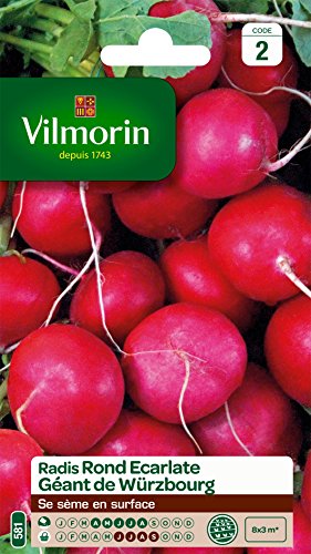 Vilmorin 3881142 Pack de Graines Radis Rond Ecarlate Géante de Wurtzbourg