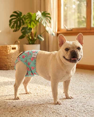 Image of CuteBone Washable Female Dog Diapers 4 Pack Reusable Doggie Heat Diapers for Period FMG10L