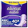 Always Dailies SlipBinden Extra Protect Long Plus Fresh (40 bindingen), grote verpakking, met subtiele geur, ademend…
