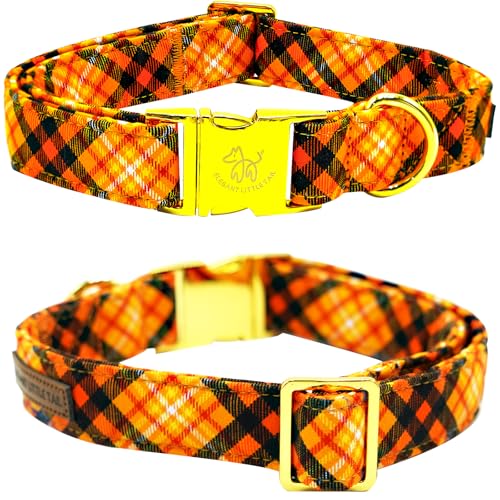 Collier pour chien de taille moyenne pour célébrer Halloween - 3