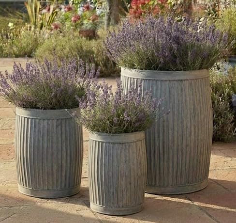 My Square Mile Antique Design Galvanised Round Dolly Planter, Metal Plant Pot Garden Ribbed Classic Vintage 3 Size Options (Large 50cm)