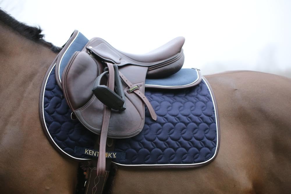 Amortisseur Anatomique Absorb Bleu-blanc-choco