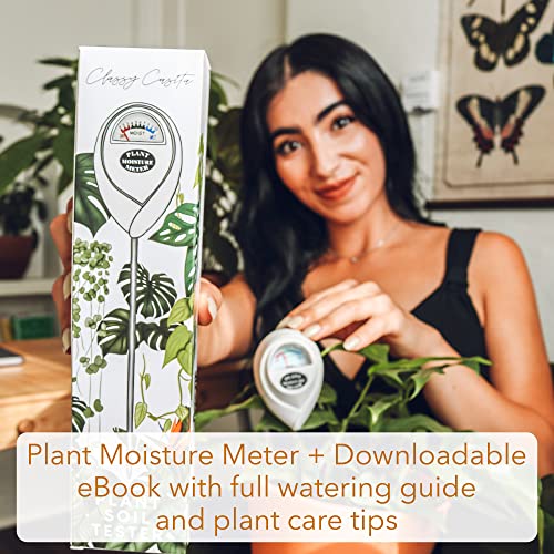 Classy Casita Soil Moisture Meter: Houseplant Care with eBook - Hydrometer Sensor For Plants - Essential Moisture Meter for Indoor & Outdoor Plants - Gardening Gadgets & Houseplant Accessories - White - Image 4