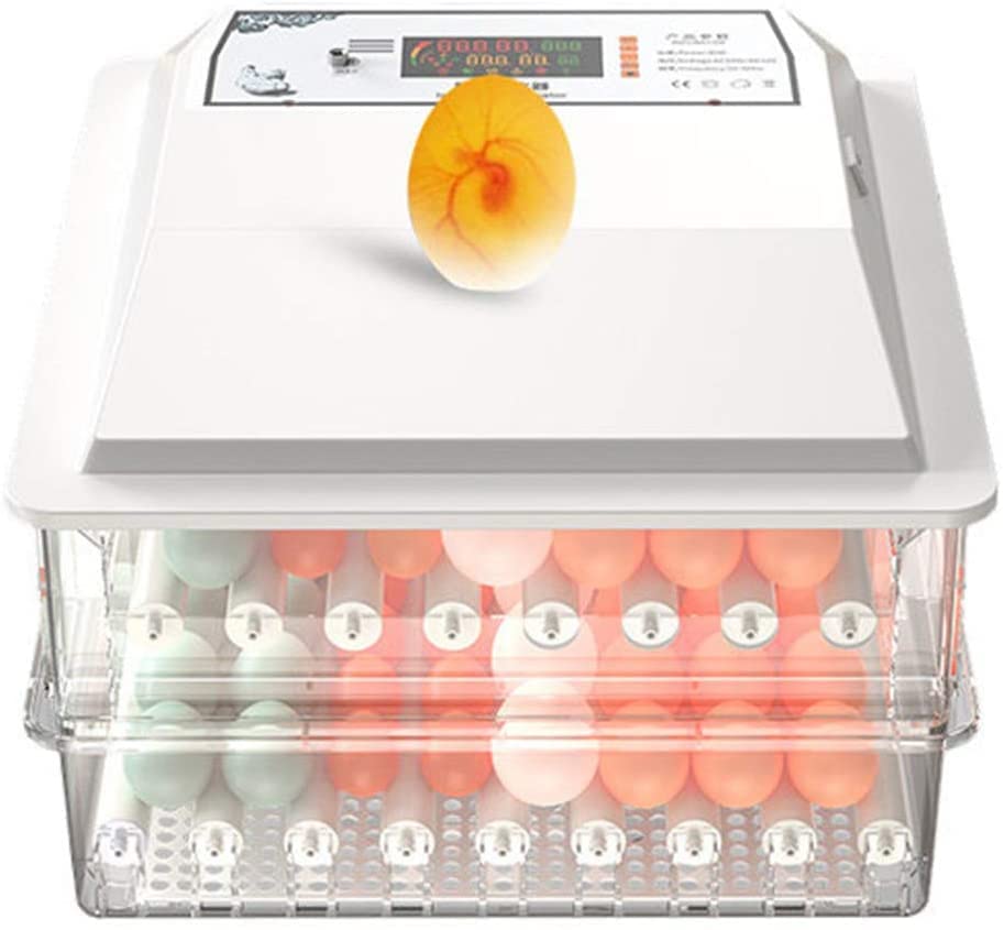 Incubateur d'oeufs avec contrôle d'humidité et retournement automatique