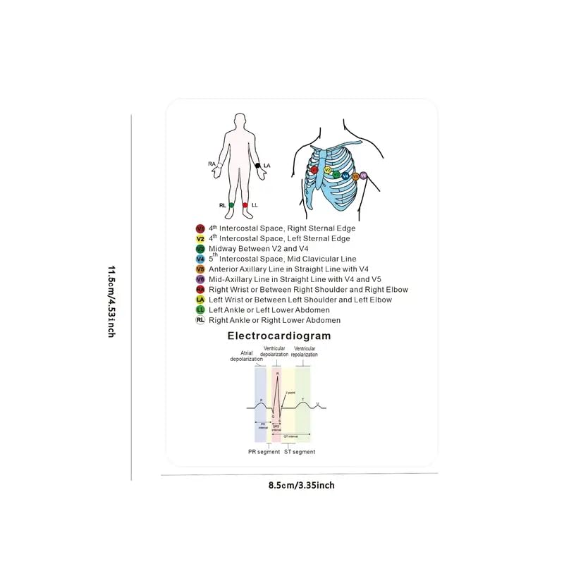 Carte di riferimento per infermieristica medica, set da 12 carte con ritmi ECG, SBAR, scala di Glasgow, badge clinico per studenti sanitari