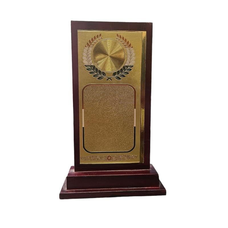 Large Trophy for Any Event Such as Corporate Function Trophy,Office Events and College Events etc (EC117 L) (B0D9XWKS33) Amazon Price History, Amazon Price Tracker