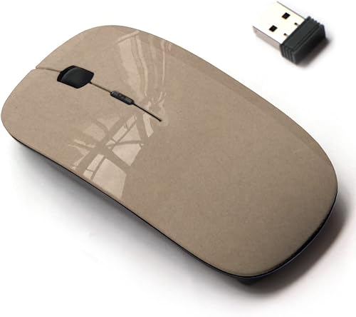 Ratón inalámbrico 2.4G con bonito diseño de patrón para todas las computadoras portátiles y computadoras de escritorio con receptor nano, papel
