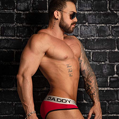 Sexy Mens Smooth Daddy Bikini Micro Pouch Mesh Underpants Low Waist Underwear4