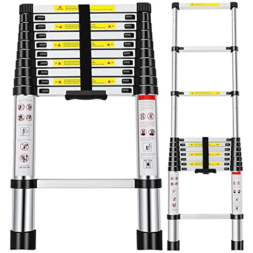 Telescoping Ladder