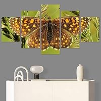 SIGNWIN 5 Panel Canvas Wall Art Open Wings for Home Decorations Ready to Hang - 60