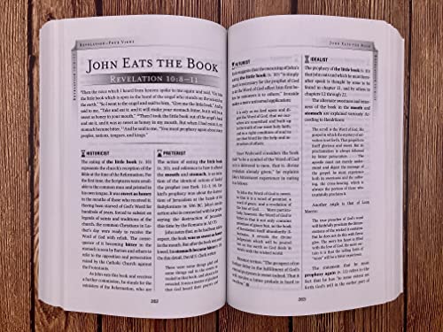 Image of Revelation: Four Views, A Parallel Commentary, Revised & Updated Edition