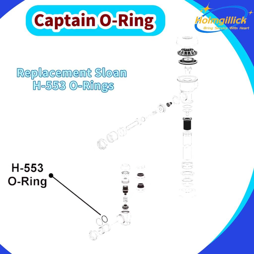 10 Pack O-Ring Replacement H-553 P6000-C31 A912809-0070A for Sloan | Compatible with Zurn Royal Regal American Standard flushometer valve tailpieces for durable sealing and leak prevention