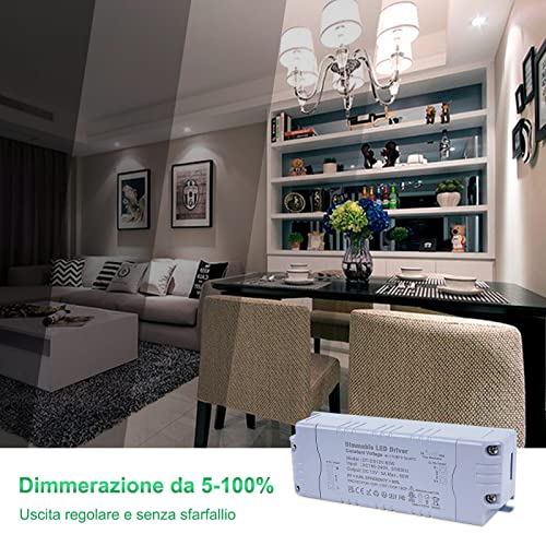 REYLAX Trasformatore LED 12V 60W Dimmerabile