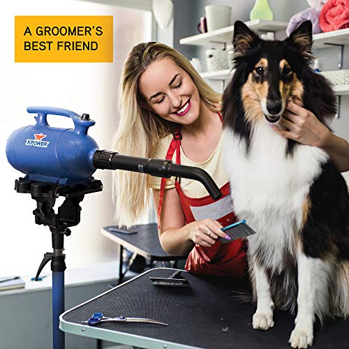 Xpower-B-4-3-HP-Variable-Speed-2-in-1-Pet-Dryer-and-Vacuum