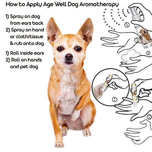 Image of The Blissful Dog Chihuahua Age Well Spray Aromatherapy