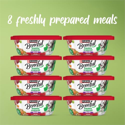 Beneful Purina Freshly Prepared Meals Wet Dog Food, Beef, (8) 10 oz