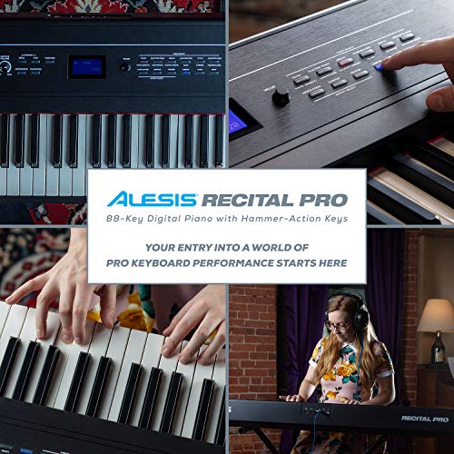 Alesis Recital PRO & M-Audio SP-2 – Piano Numérique avec Un Clavier de 88 Touches à Mécanique de Marteau & Pédale de… - Les Beatles, Paul McCartney, John Lennon, RIngo Starr, George Harrison Alesis Recital PRO & M-Audio SP-2 - Piano Numérique avec Un Clavier de 88 Touches à Mécanique de Marteau & Pédale de… – Image 7