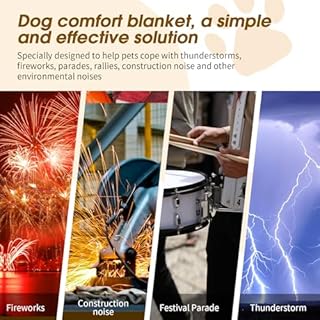 Yescool Purple Weighted Blanket for Dogs, 3 lb Thunder Blankets Shirt for Dogs, 36 x 48 inch Medium Puppy Blanket for 20-45lb, Weighted Pet Blankets for Thunderstorms, Fireworks and Construction Noise