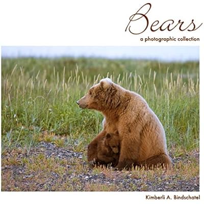 Bears
