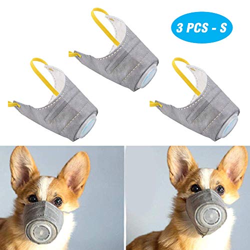 Best Filter Mask For Dog