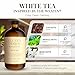 Eleven Drops White Tea Fragrance Oil - Pure Essential Oils Blend for Diffusers (Reed, Ultrasonic Refills), Aromatherapy, Home Scent, Candle Making, Soap Making and Mixing, Long Lasting Aroma - 4oz