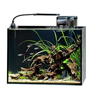 NICREW 2.5 Gallon Nano Nature Aquarium Kit, Ultra-Clear Rimless Desktop Fish Tank with Light and Filter, Perfect for Small Fish, Shrimp, or Betta, Basic Version