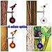 2 in 1 Small Spinner Target Set Screwed-Type (in Wooden Surface) with Base (Indoor Use) Practising Rotary Target for Air Gun Slingshot Clay Ball Airsfot Air Rifle 4 Colors Option (Base-BlueBD)
