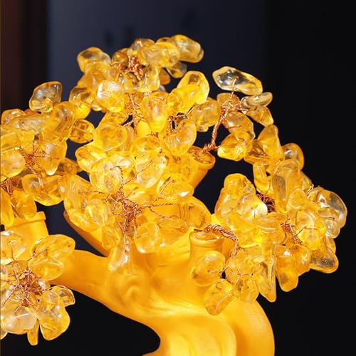 Bonsaï arbre à argent pour harmoniser et purifier la maison