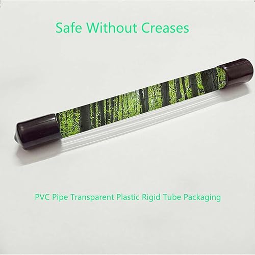 Miniatura 6 de Película verde para ventana, adhesivos de vinilo, cubierta estática para ventana de puerta, calcomanías tintadas para ventana, privacidad