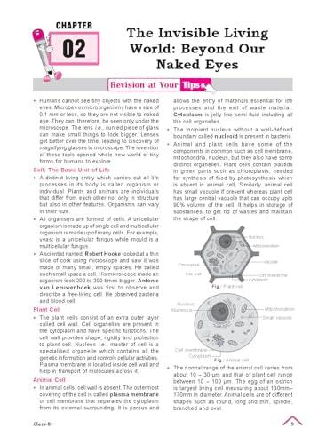 Image of MTG NCERT Buddy Science Workbook (Curiosity) For Class 8 | NCERT Worksheet | Based on New NCERT Textbook with Skills & Activity based Questions (NEP 2020 & NCF 2023)