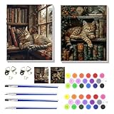 NEGEKFKX 2 Pack Book Cat Paint by Numbers Kit for Adults Beginner with Framed,Easy Adult Paint by Number Kits on Canvas DIY Painting for Beginners Art by Numbers for Home Wall Decor 10x12 Inch