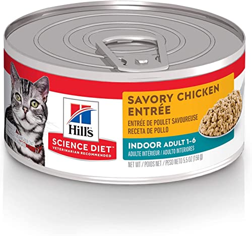 Hill’s Science Diet Adult Indoor Canned Cat Food, Savory Chicken Entrée, 5.5 oz, 24 Pack wet cat food