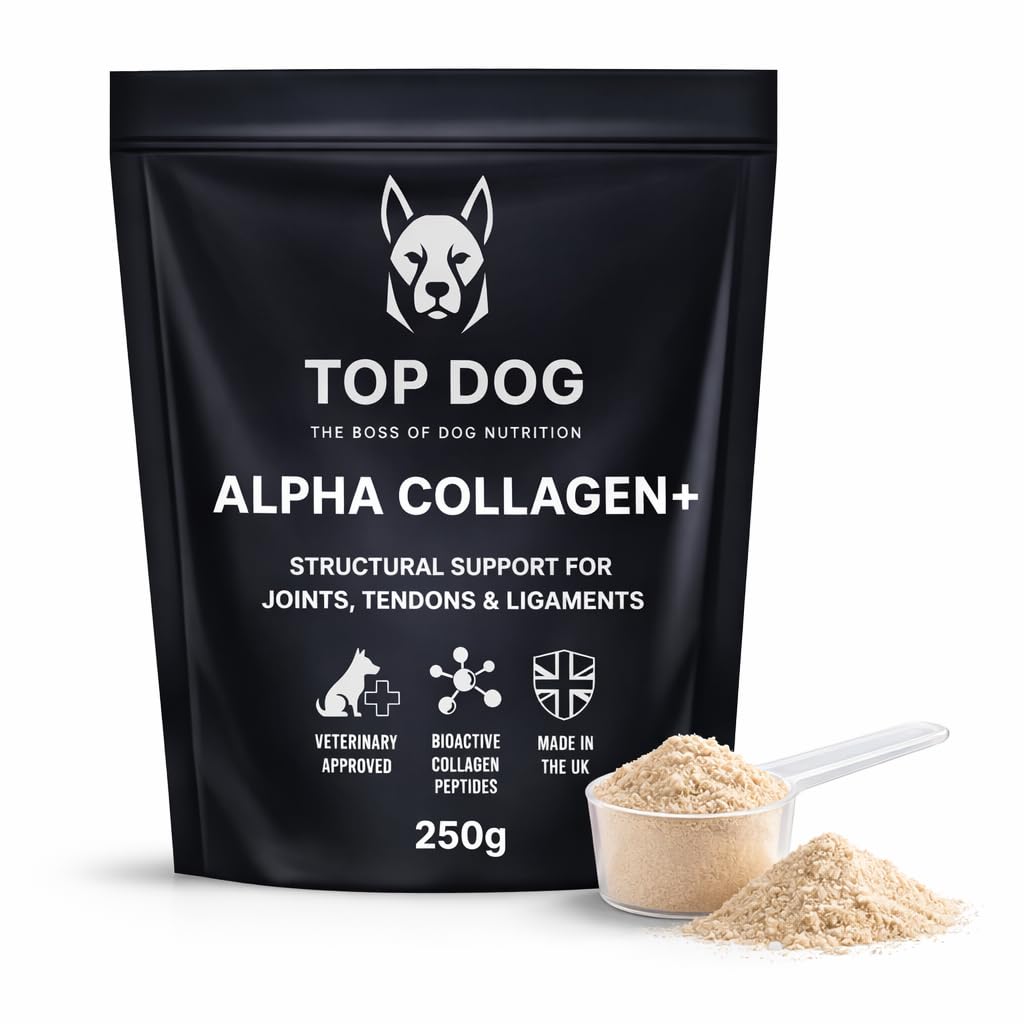 Dog Collagen Joint & Mobility Supplement Powder – 250g | Supports Tendons, Ligaments & Connective Tissue | With Hyaluronic Acid & Vitamin C TOP DOG Alpha Collagen+