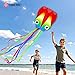 Kites for Adults & Kids Ages 4-8,Beach Kites Easy to Fly for Beginner, with Handle and 328ft Kite String，Best Toy and Gift for Boys & Girls. (Blue Haired Mermaid+Grassland+Octopus, 3)