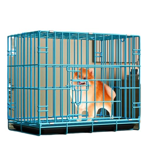 Riuuyyi pP[W ybgP[W S̟B nEX ybgnEX L  ^ ^ ܏ gCt 2̃hAt t Vt  ybgpi (u[)