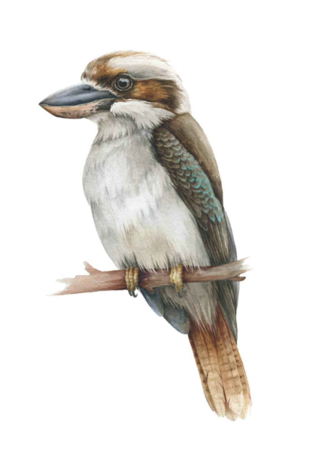 Kingfisher Bird Kookaburra Notebook Journal Blank Wide Ruled Pages Paper Composition Book Daily Planner Notes