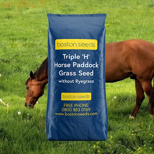 Boston SeedsPaddock Grass Seed (Rygrass Free - 1x 12.5kg Pack) - 'Triple H' Herbal Mix Without Ryegrass. 12.5kg Packs to Cover one Acre. Paddock Garden Seed Persistent in Dry Soils.