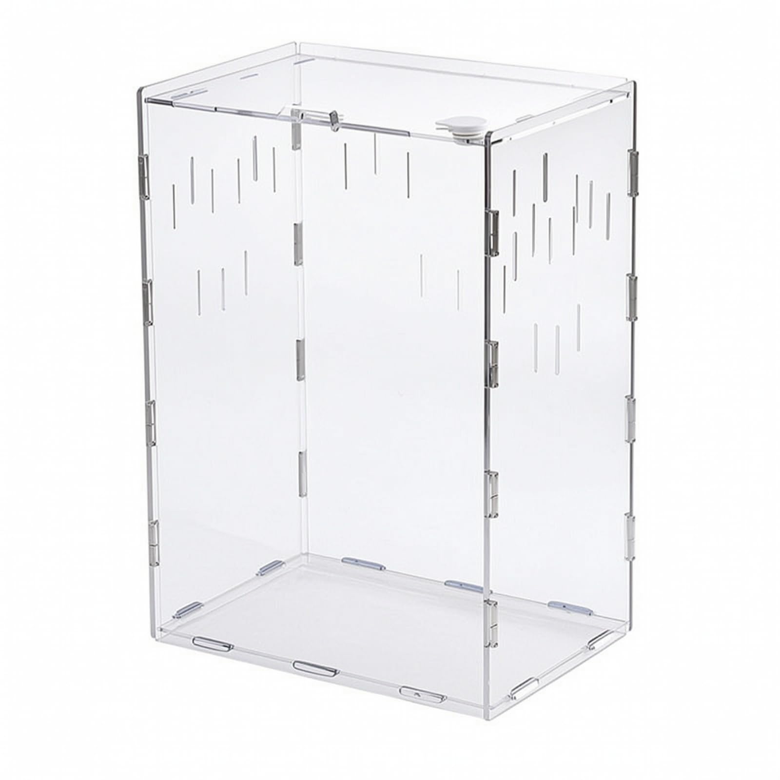 Terrarium avec Couvercle Verrouillable, 26 X 19,7 X 38,6 Cm, Vertical Grand Modèle sans Thermomètre-hygromètre