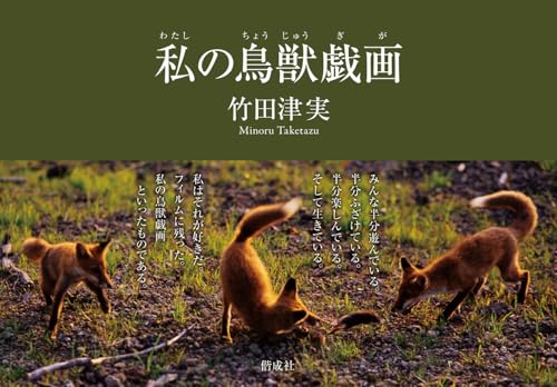 私の鳥獣戯画
