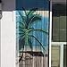 TACHILC Beach Tree Bamboo Beaded Curtains for Doorways, Door Beads Curtains, Hanging Bamboo Curtain