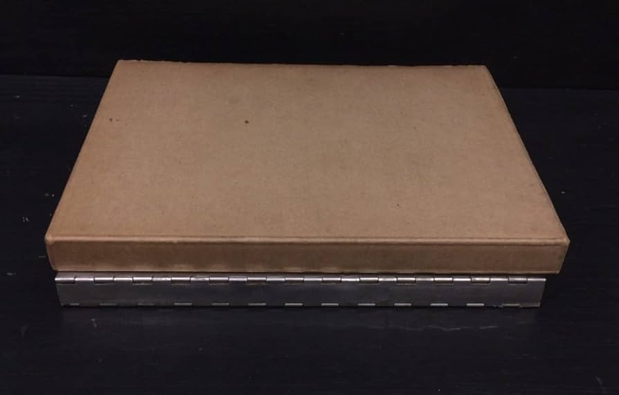 Amazon.co.jp: ステンレス製表紙 特装本『稲垣足穂 絵本 逆流のエロス