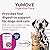 Lintbells | YuDIGEST Plus for Dogs | Veterinary Strength Fast-acting Probiotic Digestive Support for Dogs, All Ages and Breeds | 6 Sachets