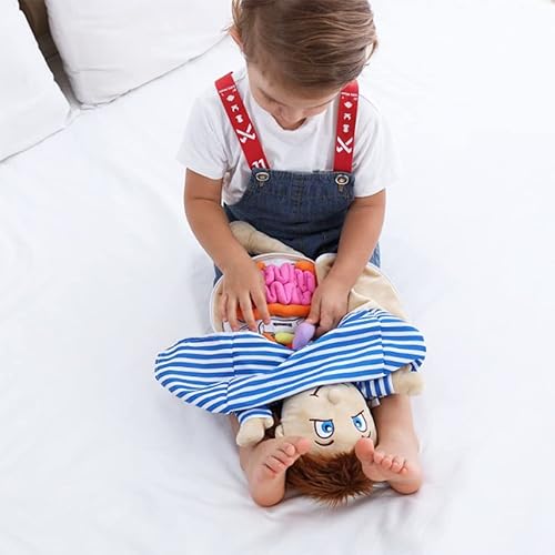 Miniatura 5 de KAKIBLIN Juguetes de anatomía del cuerpo humano, órganos educativos preescolares del cuerpo humano, juguetes de anatomía para niños, órganos