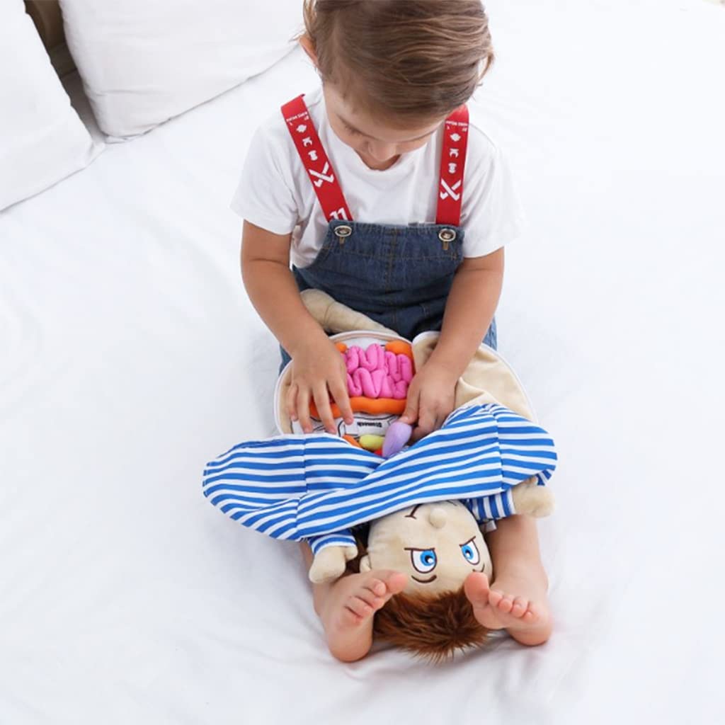 Juguetes de anatomía para niños, modelo de cuerpo humano, peluche de órgano educativo preescolar, kits de aprendizaje científico, kits de ciencia de órganos corporales, juguetes sensoriales 5
