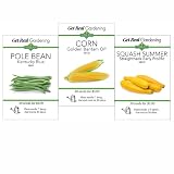 Three Sisters Garden Seed Collection, Native American Companion Plants - Corn, Pole Bean, Squash Seeds