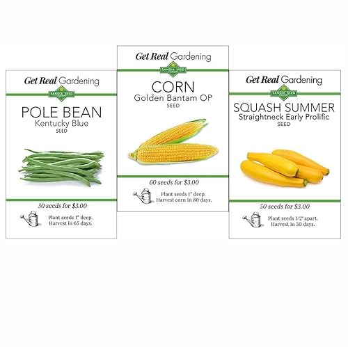 Three Sisters Garden Seed Collection, Native American Companion Plants - Corn, Pole Bean, Squash Seeds