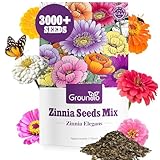 Groundio Zinnia Seeds Mix, 1 Oz, Over 3,000 Flowers...