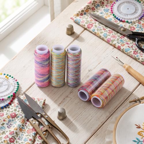 Hilo para Bordar 5 Unidades Multicolor Degradado miniatura 2