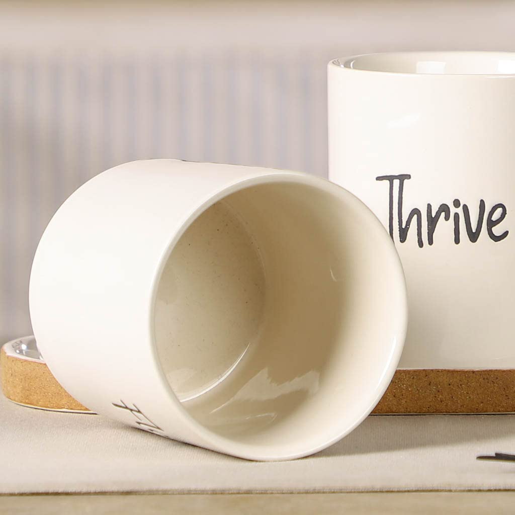 View 6